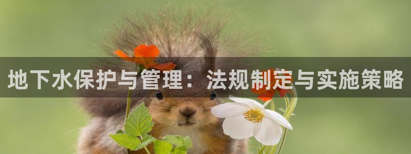 球盟会在线登录