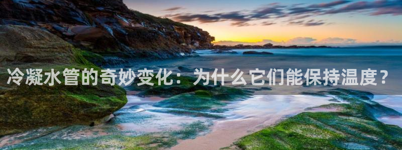 球盟会官方最新入口