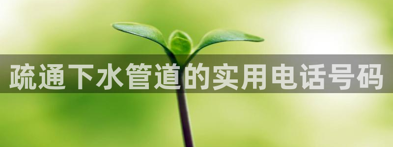 球盟会进不去球员吗