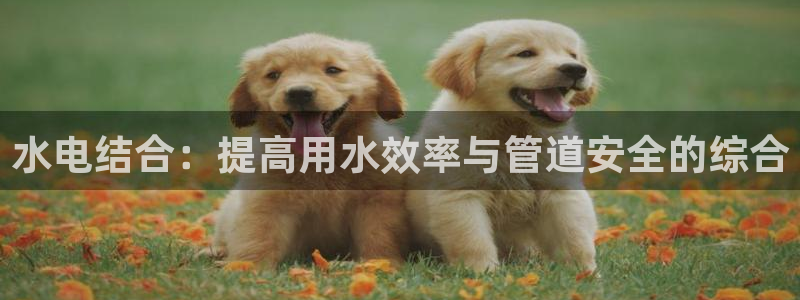 球盟会app最新地址在哪找