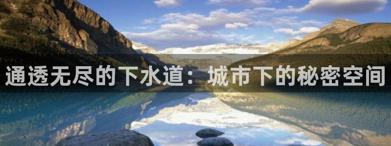 球盟会登陆入口