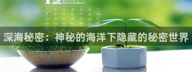 球盟会app手机登录