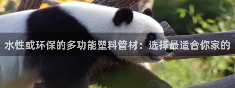 球盟会官网入口