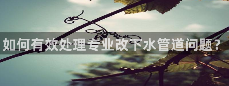 球盟会官方平台入口