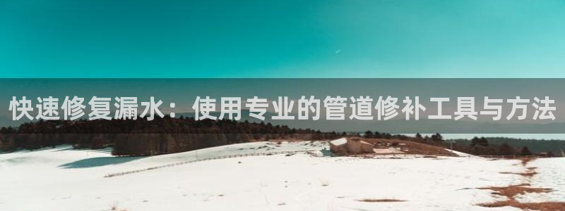 球盟会进不去吗