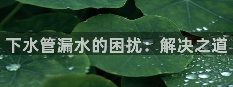 球盟会能退钱吗