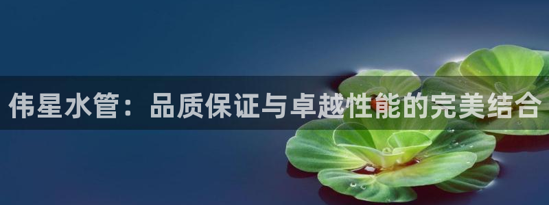 球盟会官方客服