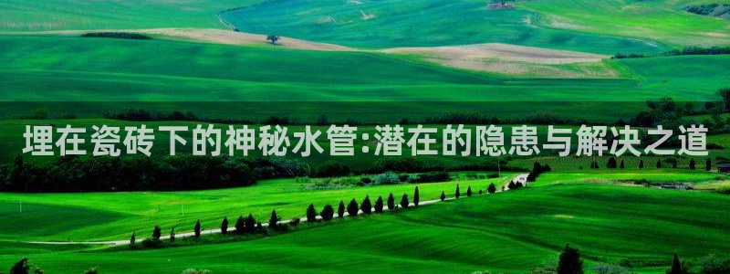 球盟会在线登录官网