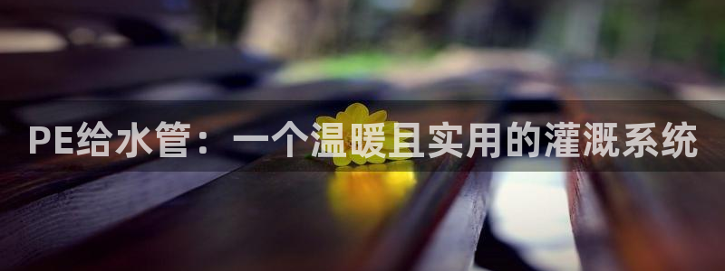 球盟会类似的网站