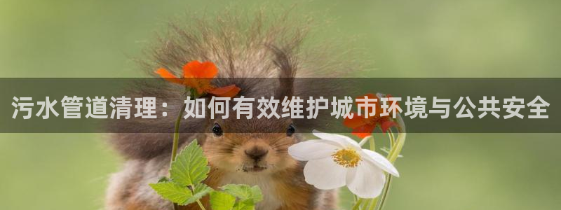 球盟会在线登录