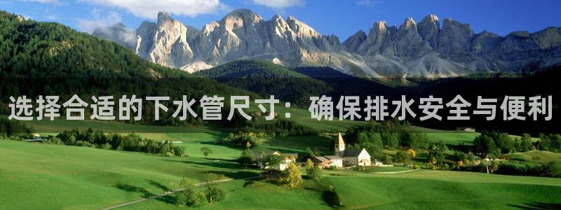 球盟会官方网入口