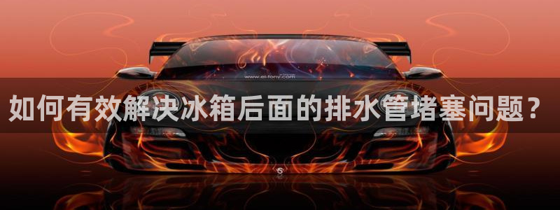 球盟会里面有打牌的嘛是真的吗