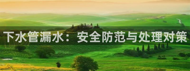 球盟会中国官方网站