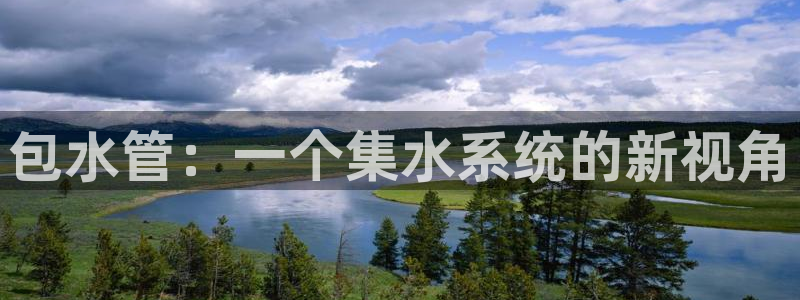 球盟会APP最新地址