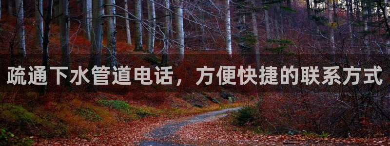 球盟会官方最新入口