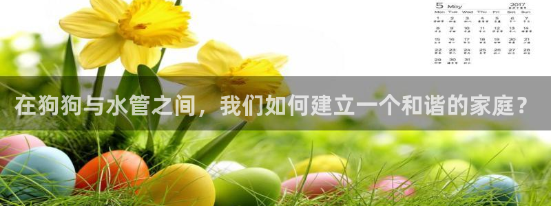 球盟会登录平台