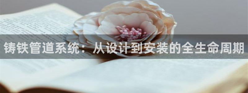 球盟会唯一