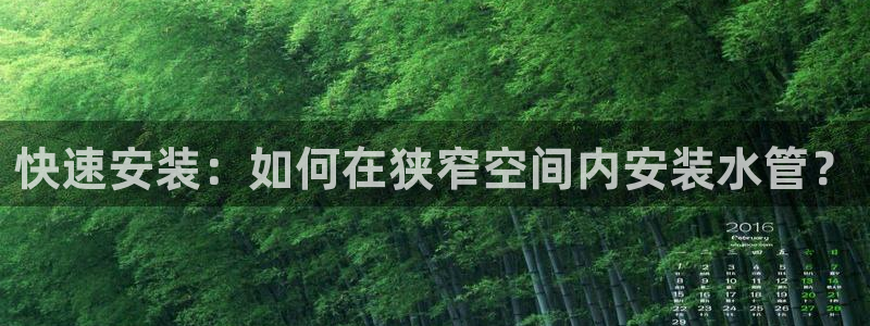球盟会和中欧会的区别