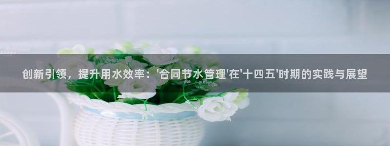球盟会App